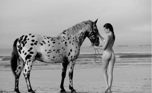 APPALOOSA HORSE AND THE BEAUTY