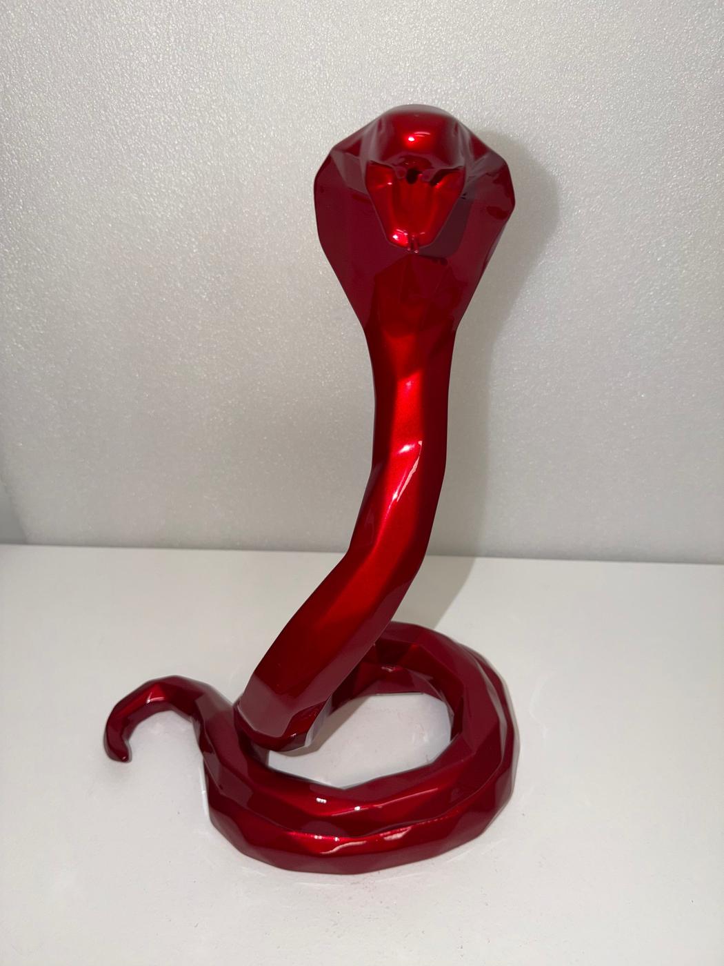 Cobra Rouge Flamme 40cm 49/50